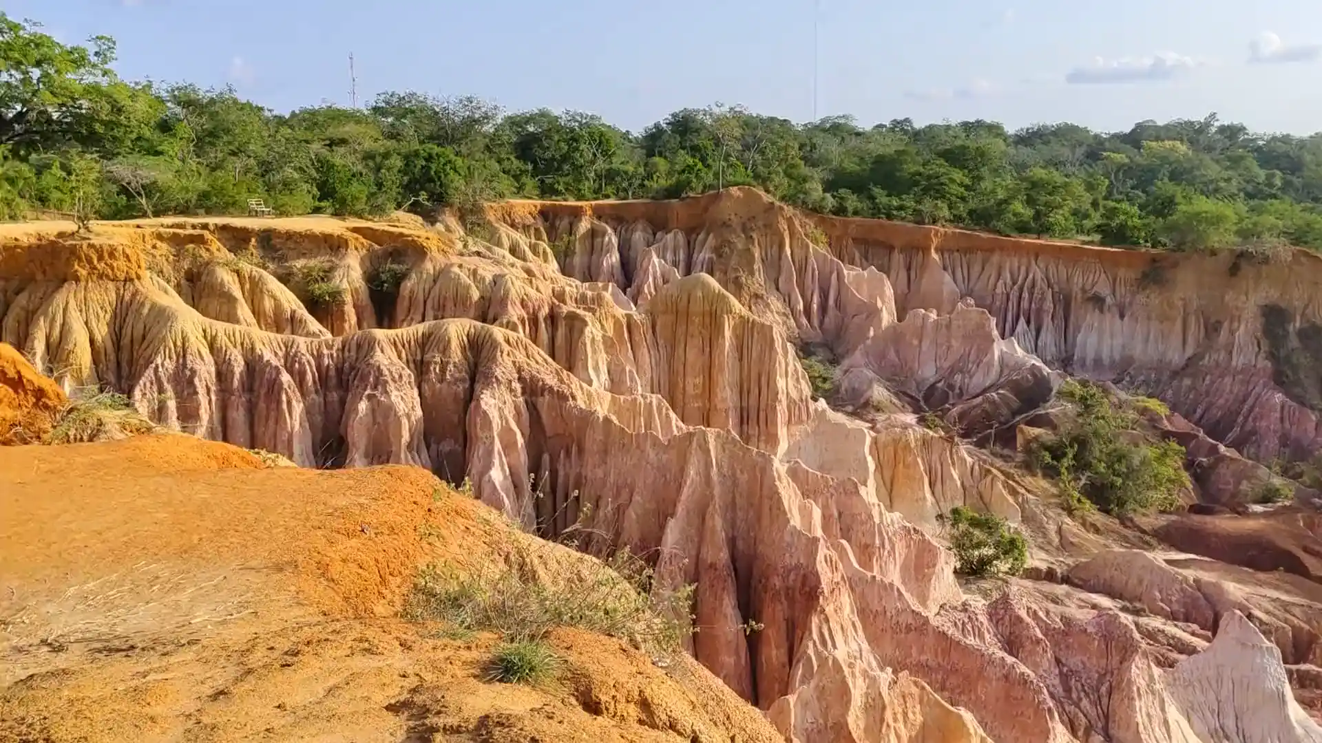 Slow pan across eroded pink and orange sandstone cliffs and gullies at the Marafa Depression, green bush along the rim under a pale sky.