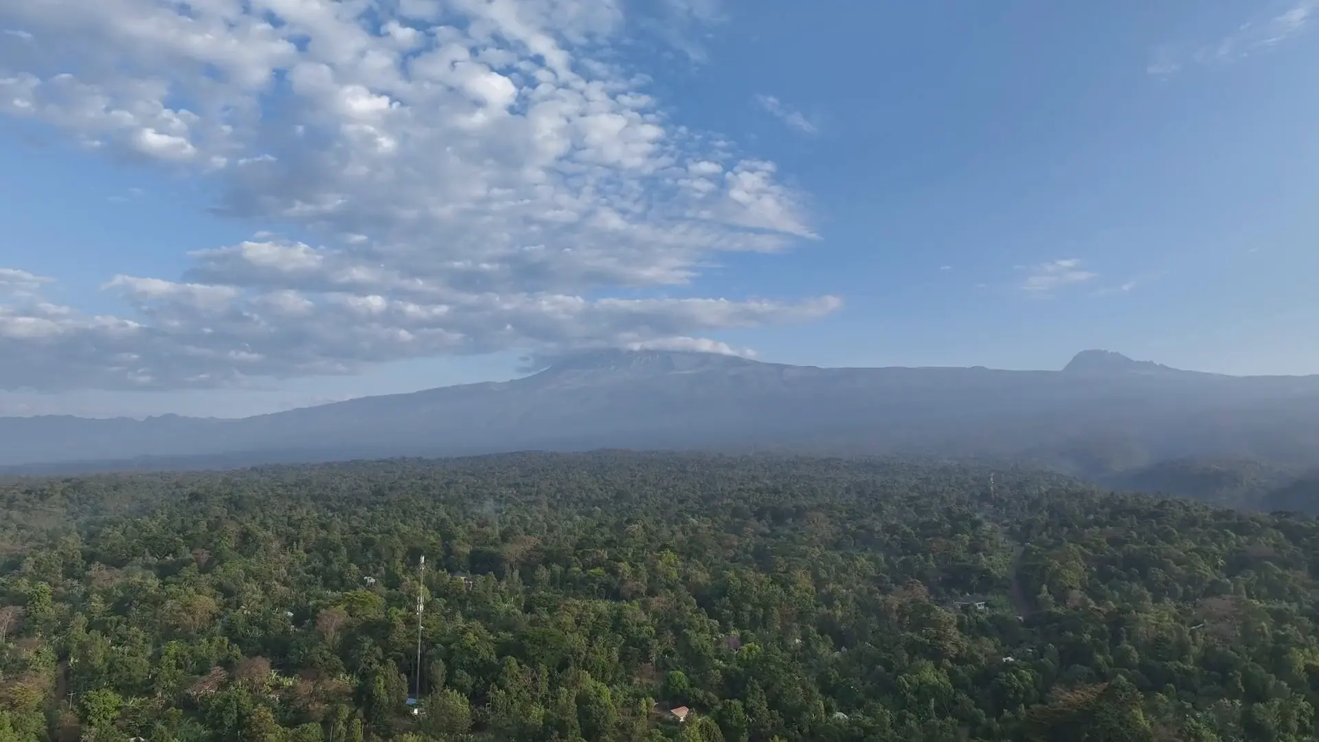 Slow aerial rising over dense montane forest towards the summit plateau of Mount Kilimanjaro.