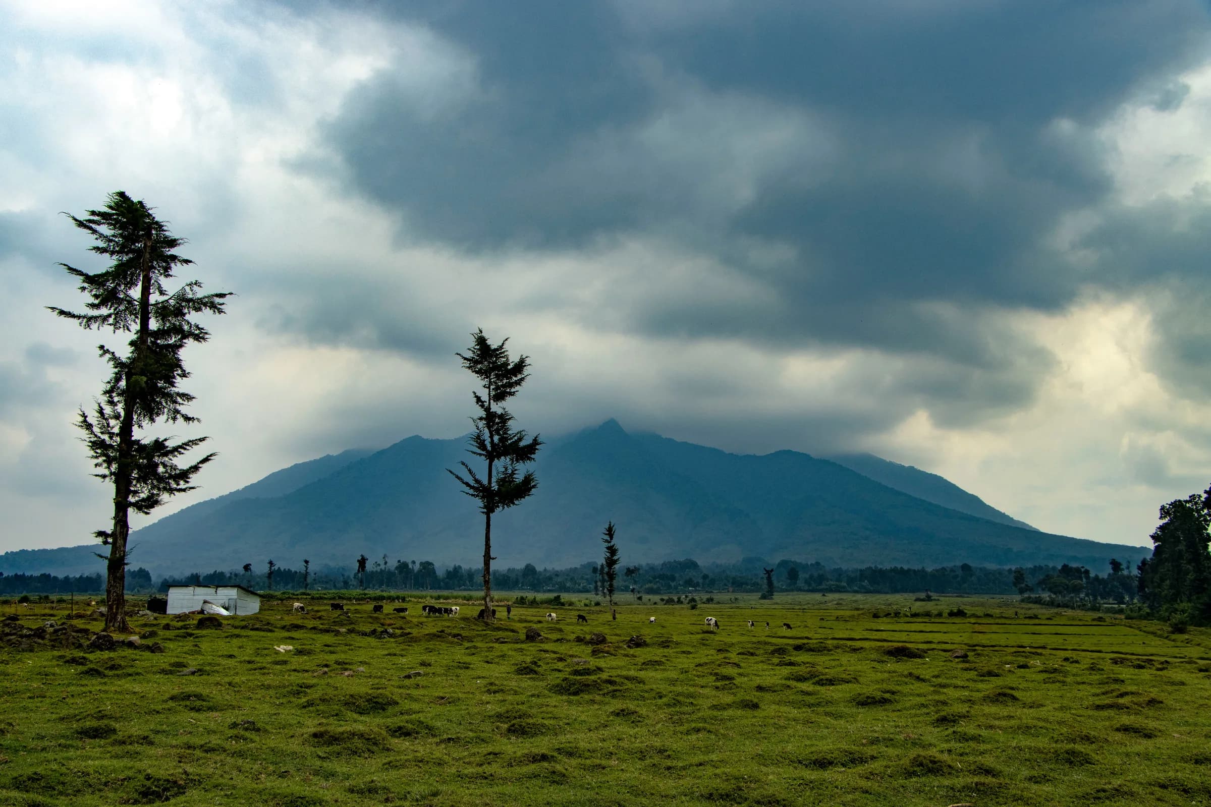Mist-wreathed Virunga volcano rising above Volcanoes National Park, Rwanda
