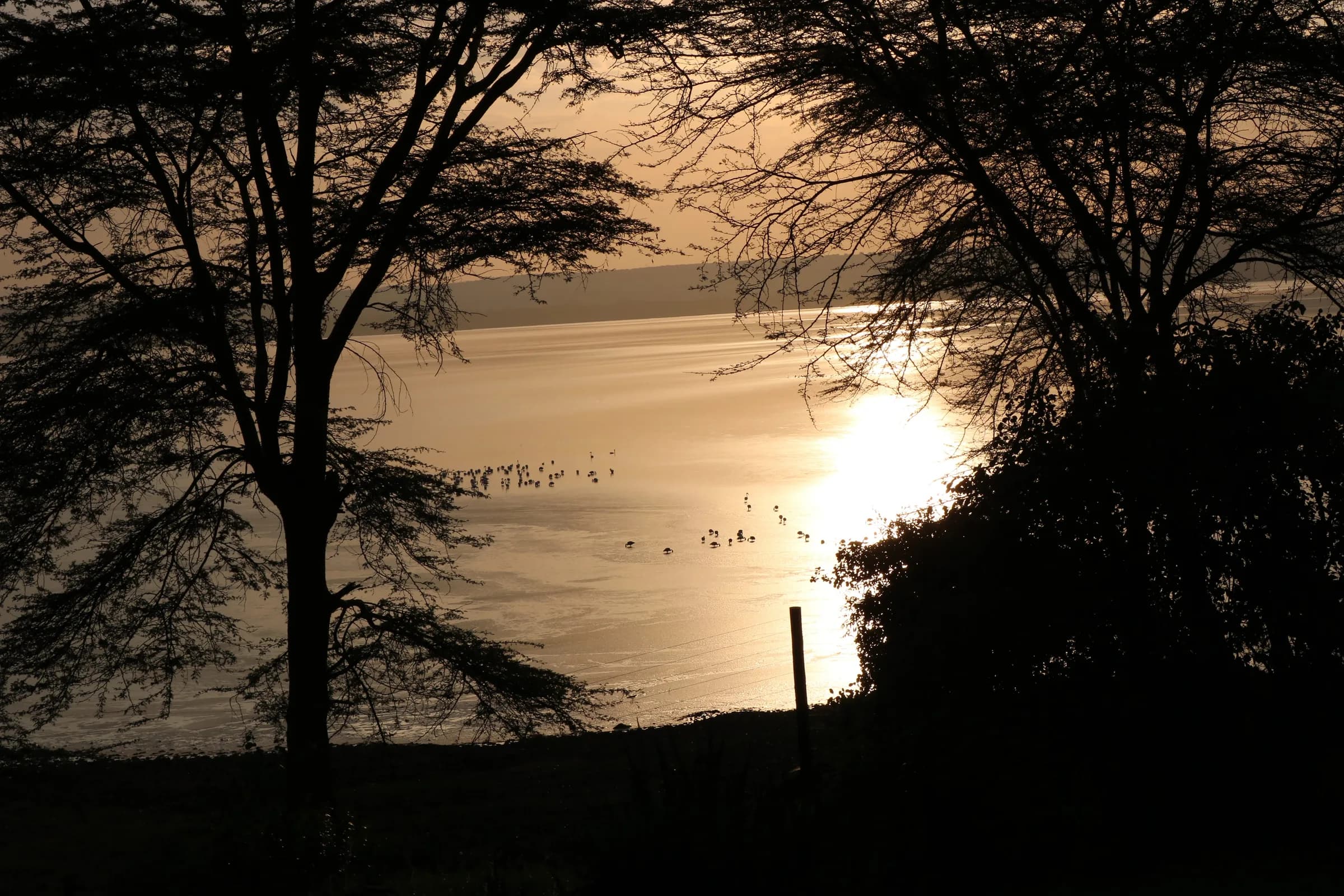 Golden sunset over Lake Elementaita's still waters